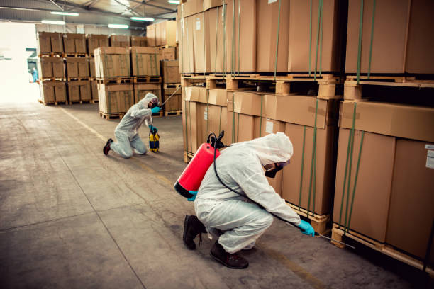 Best Flea Control Services  in Soledad, CA