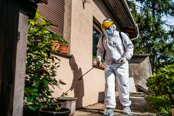 Bird Control in Soledad, CA