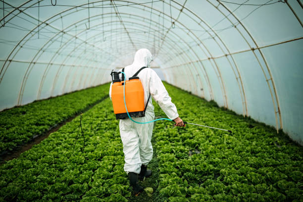Best Ant Control Services  in Soledad, CA