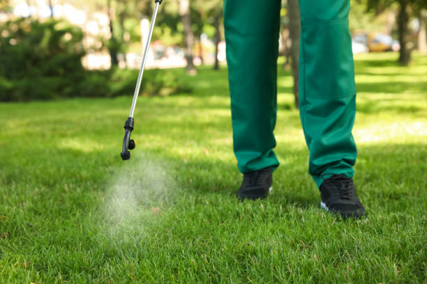 Wildlife Control Services in Soledad, CA