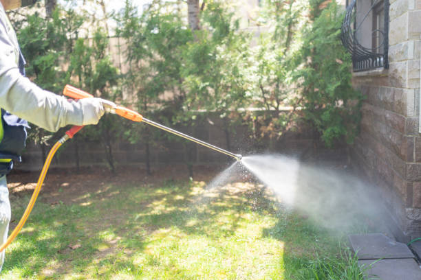Flea Control Services in Soledad, CA