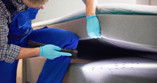 Best Pest Removal Services  in Soledad, CA