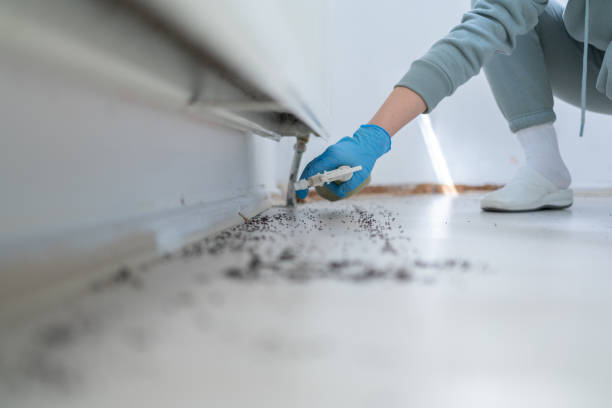 Insect Control in Soledad, CA