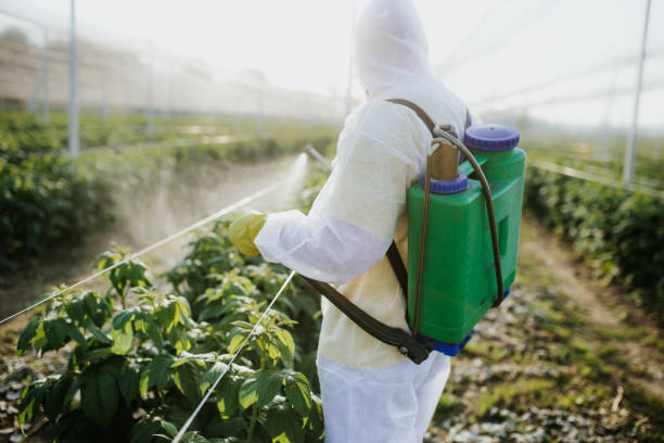 Best Bed Bug Extermination  in Soledad, CA